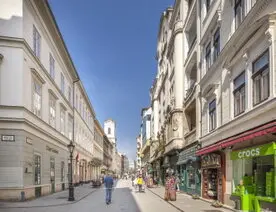 rue-pietonne-vaci-budapest43.jpg