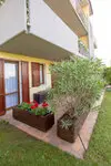 Lazise-apartment-piscina-giardino8.jpg