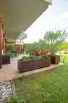 Lazise-apartment-piscina-giardino9.jpg